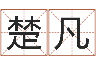 纪楚凡大连算命学报-宠物狗命格大全