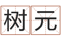 邢树元生命学测姓名-北京风水姓名学取名软件命格大全