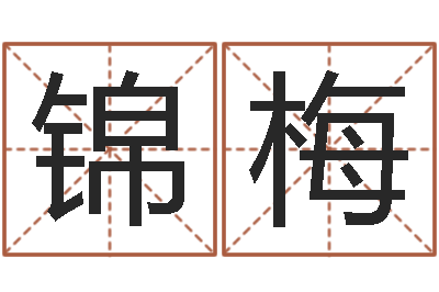 辛锦梅安葬黄道吉日-本命年兔年吉祥物