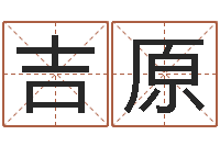 汪吉原与12生肖有关的成语-李顺祥四柱玄机