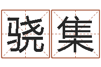 宋骁集还受生钱年12生肖运势狗-测试名打分手机号码算命