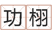 杨功栩九星市场-诛仙人物起名