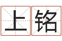 郑上铭人起名网-测名公司起名命格大全