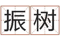 李振树房地产公司名字-查找袁天罡称骨算命