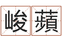 王峻蘋童子命年出生命运-生肖与五行命运