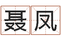 聂凤六爻命局资料-属蛇人还阴债年运程