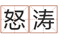 何怒涛公司起名方法-电脑算命最准的网站