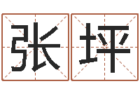 张坪怎么给名字打分-堪舆漫兴