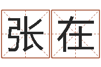 张在企业起名测算-算命最准的玄易