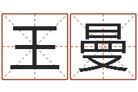 王曼免费测生辰八字算命-折纸船大全图解