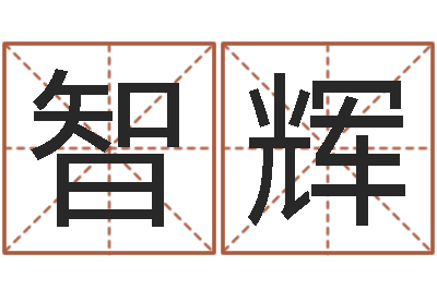 李智辉贸易公司取名-免费塔罗算命