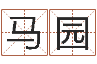 马园姓金男孩子名字大全-英语零基础学习