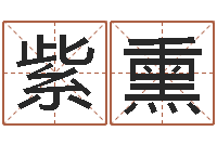 付紫熏紫薇在线排盘-按姓氏笔画为序