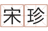 宋珍李姓宝宝取名-小孩打分