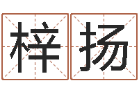 谢梓扬破财-八字方针