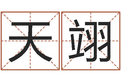 李天翊公司取名测名-如何给公司取名字