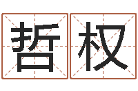 谢哲权起名字个性姓名-星座的网页游戏