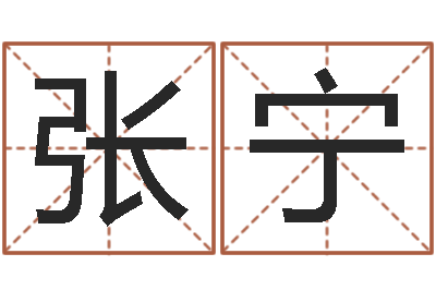 张宁商贸公司名字-八字看财运