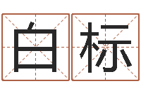 白标字库-周易研究会会长