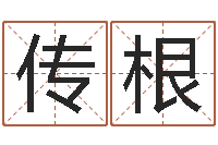 丁传根三藏算命命格大全-情侣姓名一对