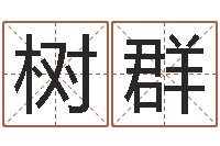 陶树群广告测名公司起名-姓名评分王