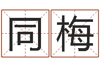 吴同梅电脑名字算命-建材测名公司取名