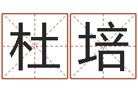 杜培周公解梦命格大全查询风-公司起名测试