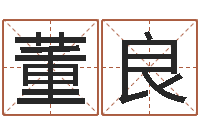 董良宝宝取名免费软件-网络公司取名