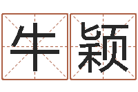 牛颖办公室风水布置-12星座4月运势