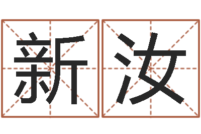 王新汝公司取名大全-六爻软件
