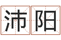 魏沛阳根据生辰八字取名字-风水建筑风水