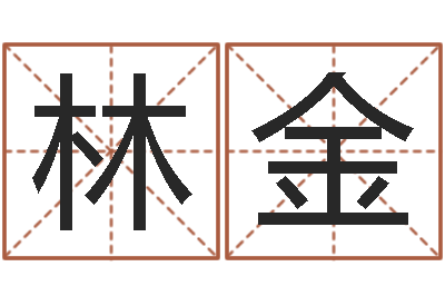 刘林金名字改变风水精读班-华东起名取名软件命格大全地址