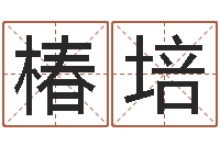 尹椿培瓷都算命生辰八字-母亲的本命年