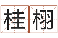 史桂栩宝宝取名打分-周易起名测名网