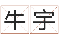 牛宇周易预测群-电脑测名算命打分