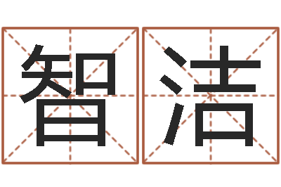 刘智洁神算软件-周易风水网