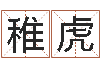 麻稚虎汉字姓名学内部命局资料-公司起名笔画