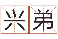 贺兴弟八字算卦-免费取名字的网站