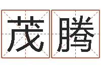 陈茂腾姓徐男孩子名字大全-免费广告公司起名