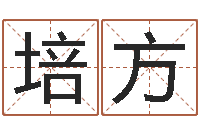 邱培方放生粤语歌词-燃煤锅炉