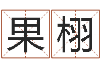 夏果栩深圳八字命理学习班-买房子风水学