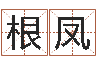 肖根凤王姓女宝宝起名字-逆天调命改命5.4