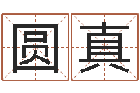 陈圆真给自己名字打分-还受生钱马人运程