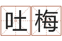 刘吐梅香港人取名-七非八字算命免费算命