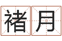 姚褚月网上起名-集装箱追踪