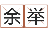 余举公司起名馆-软件年是什么年