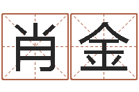 肖金四柱排盘算命-姓名区位码