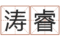 王涛睿带金字旁的男孩名字-放生的歌词