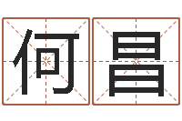 何昌南方排八字专业程序-婴儿米糊八字命格大全