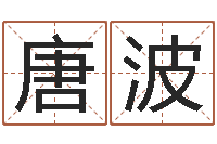 唐波游戏取名-艳遇指数测试